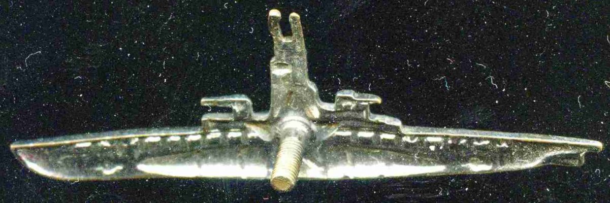 534.jpg