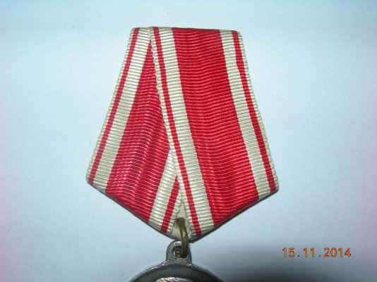 DSCN9565.JPG