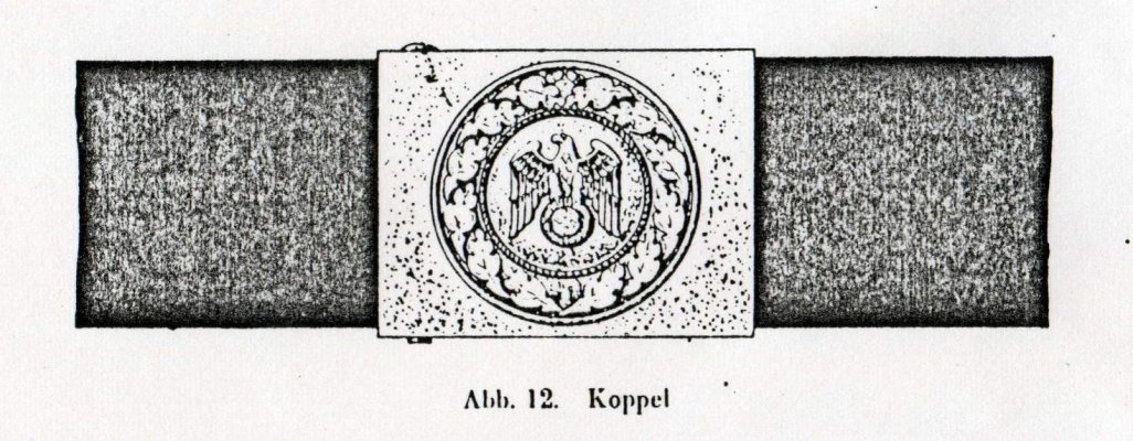 img529 - kopie.jpg