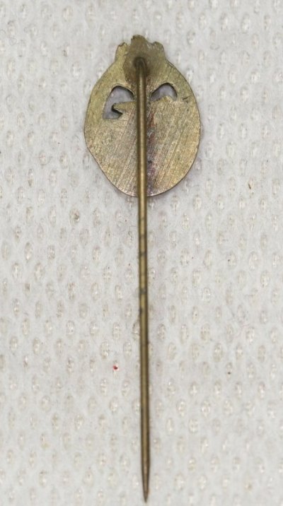 g15_6_9787_7.jpg
