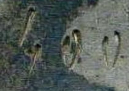 img351.jpg