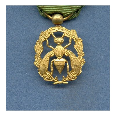 2medaille-sahara-chevalier-de-l-ordre-du-dacus-sfaxien-tunisie.jpg