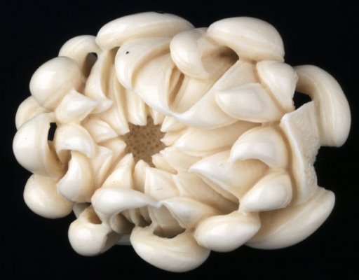 Ivory netsuke. Flower blossom..jpg