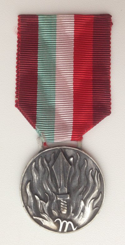 Медаль За заслуги Муссолини ав - копия.JPG