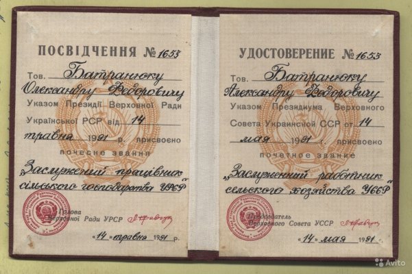 1787159439.jpg