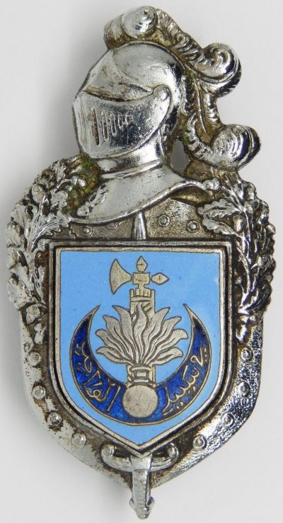 10°-Légion-Gendarmerie_001.jpg