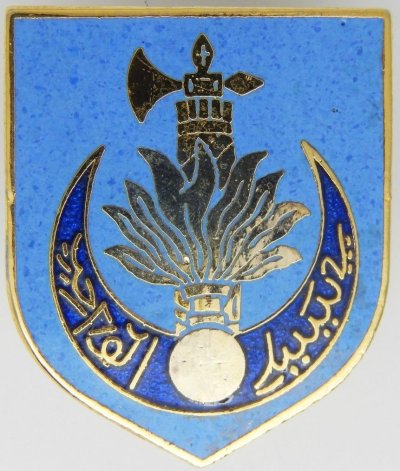 10°-Légion-Gendarmerie_003.jpg