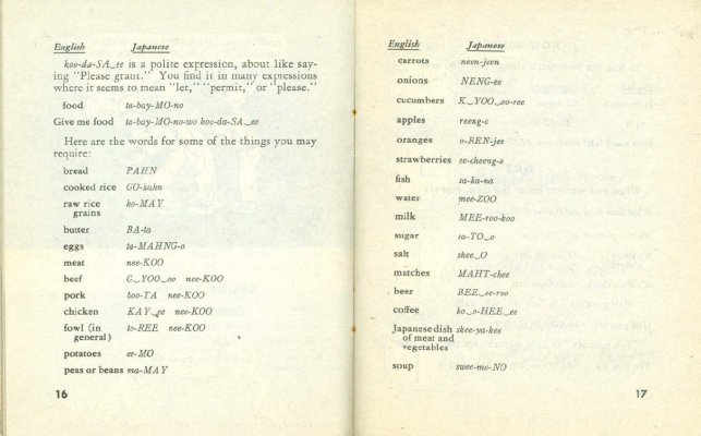 Japanese---A-Guide-to-the-Spoken-Language-1945-US-Army-Technical-Manual-TM-30-341-011.jpg