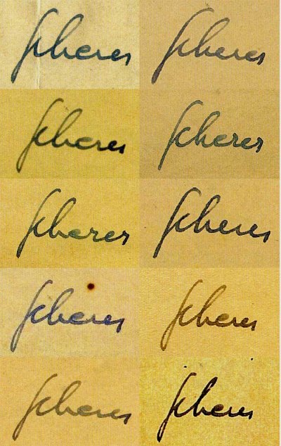 sherer.jpg