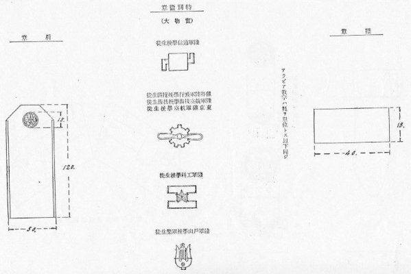 4e59dec96079c.jpg