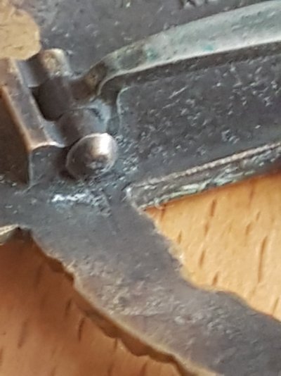 20180908_123052.jpg