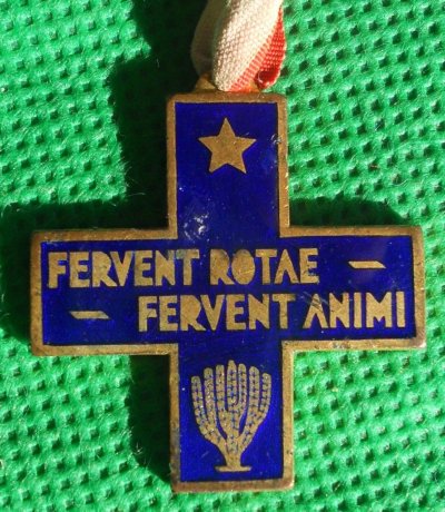 medaglia-croce-autieri-africa-aoi-regio-esercito-_57.jpg