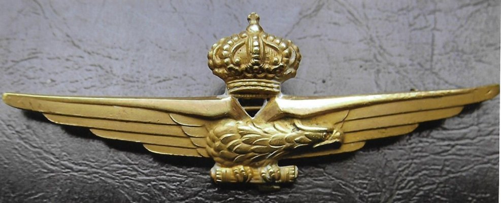Regia-Aeronautica-Distintivo-Pilota-Militare-1934-Stabartistici-Fiorentini-Raro.jpg