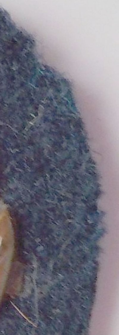 100516053.jpg