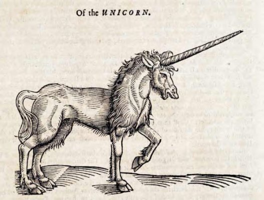 Oftheunicorn.jpg