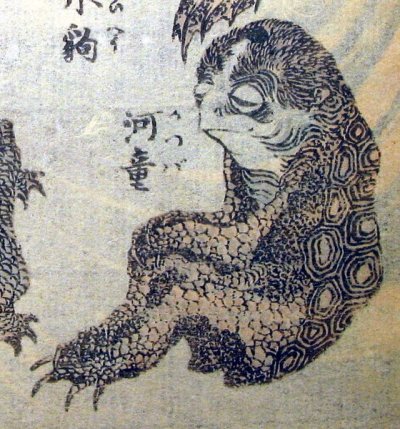 560px-Hokusai_kappa.jpg