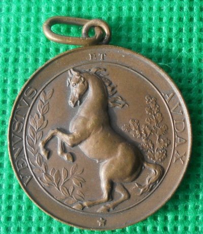 medaglia-reggimentale-cavalleria-piemonte-reale-ww1-_57.jpg