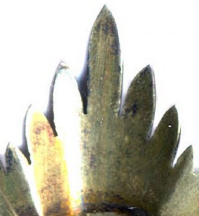 67.jpg
