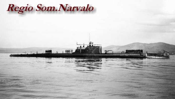 000 Narvalo800.JPG