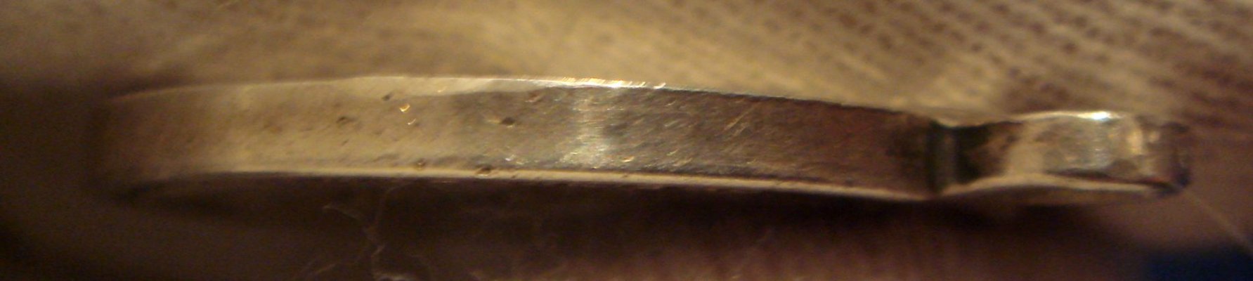 DSC08369.JPG