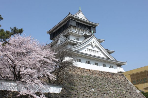 Kokura-Castle_SAKURA_.jpg