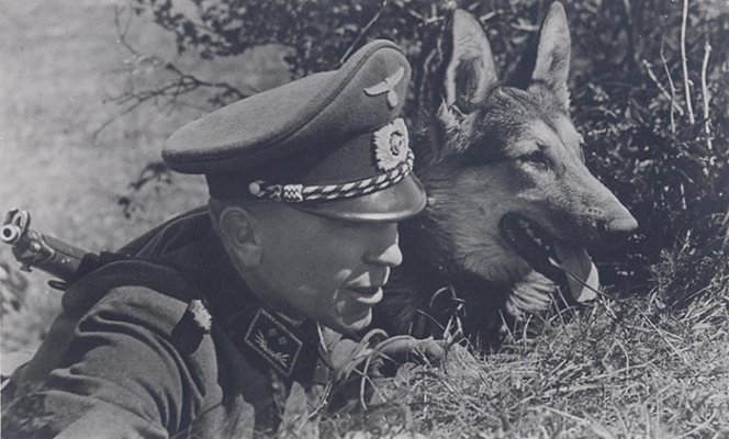 Zoll-KaraZ.jpg