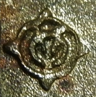 DSCN02454.jpg
