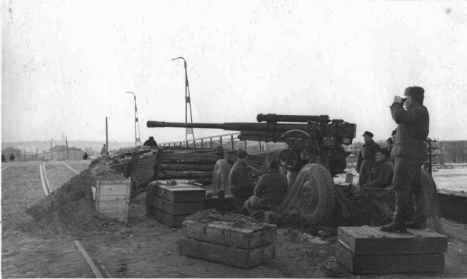 85-mm_1.jpg