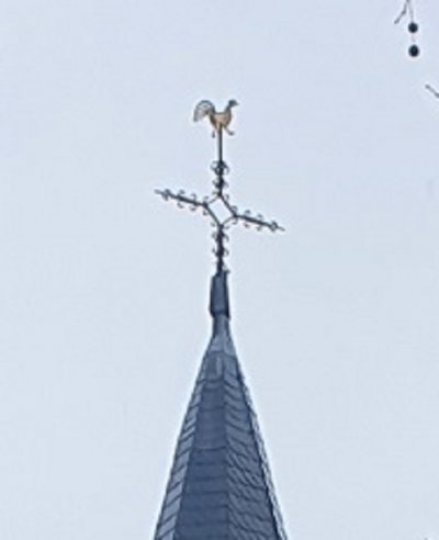 20220131_130809-1.jpg