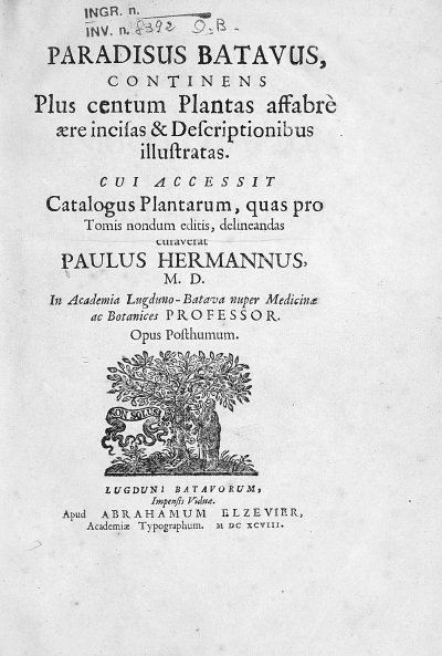 Hermann,_Paul_–_Paradisus_batavus,_1698_–_BEIC_6916926.jpg