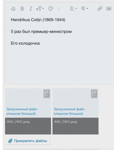 IMG_2988.jpeg