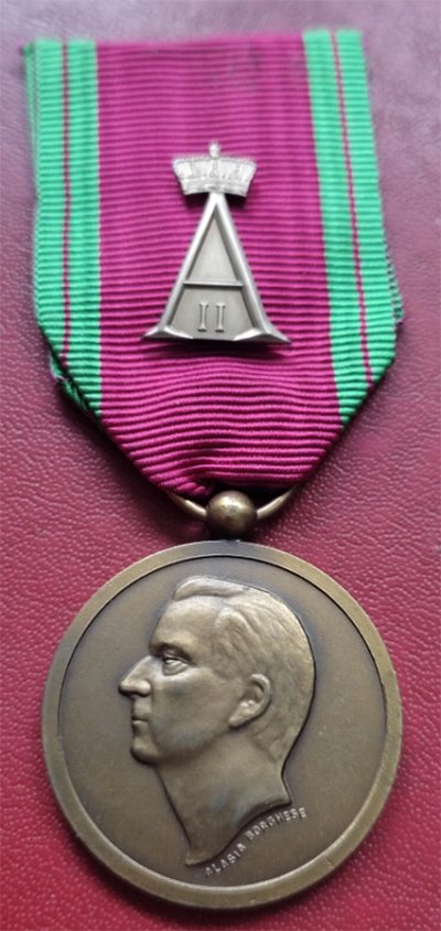 King Albert II Royal House Medal 3rd class 1.jpg