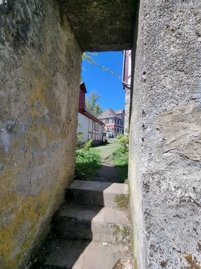 20250420_123055.jpg