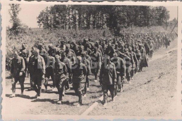 plen9-1.jpg