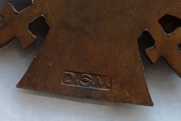 dsm.jpg