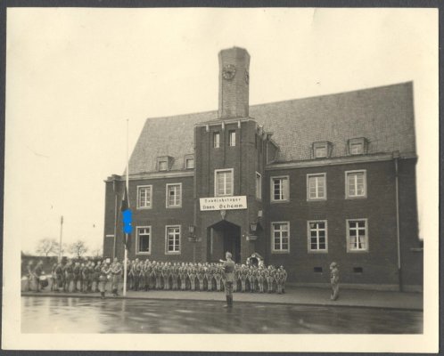 albov1.jpg