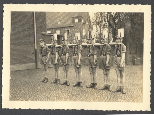 albov2.jpg