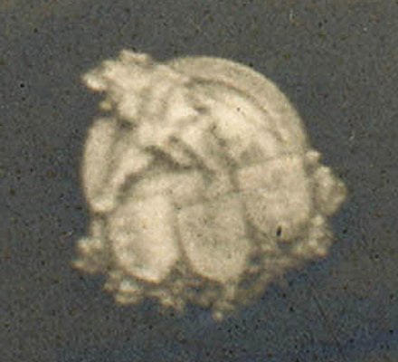 s-l1600 (10).jpg