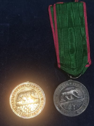 20251129_145336.jpg 20251129_145336.jpg