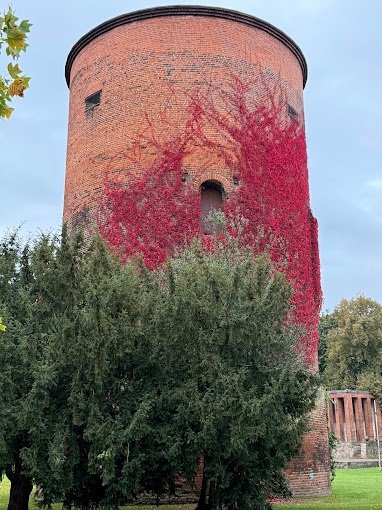 20260309_1144221.jpg 20260309_1144221.jpg