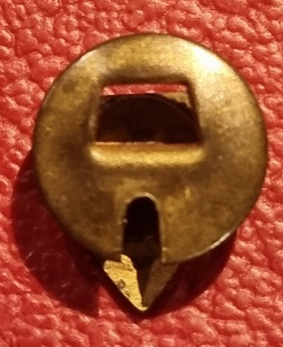 20260412_204745.jpg 20260412_204745.jpg