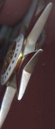 IMG_0412.jpeg