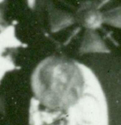 skenování0004.jpg