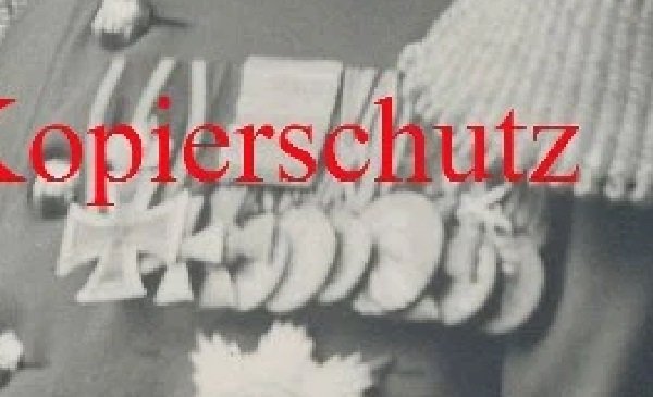 bernadr1.jpg