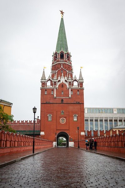 17_Троицкий_мост_(2012).jpg