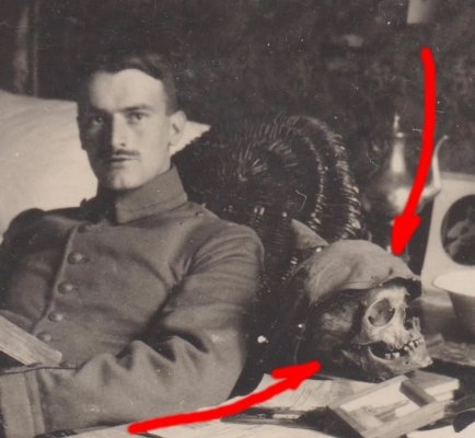 ceper2.jpg