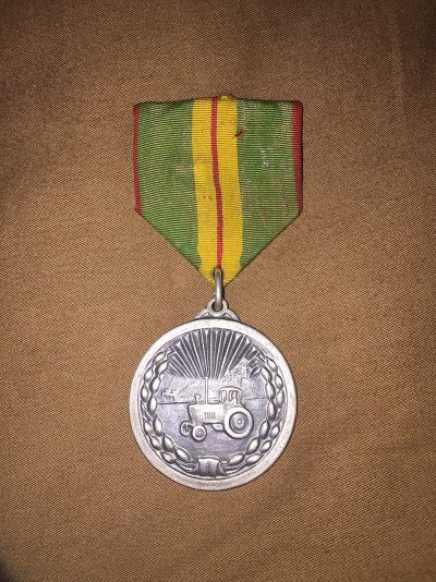 Agricultural_Merit_Medal.jpg