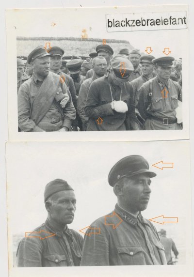 plen13.jpg