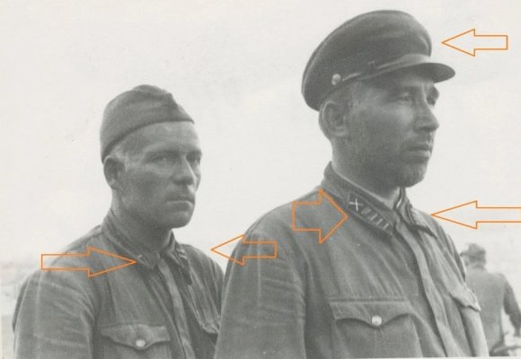 plen13-1.jpg
