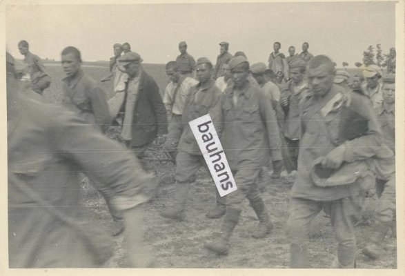 ranyaxa1.jpg